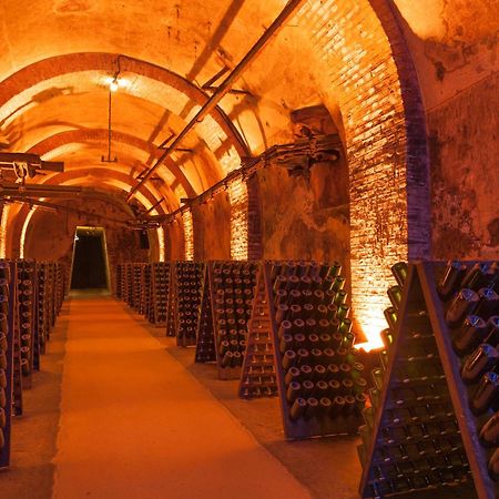 Champagne Central - Exceptionnel 3 Chambres Ρενς Εξωτερικό φωτογραφία